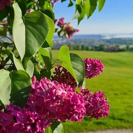 Schleipfnerhof Urlaub Auf Dem Bauernhof Villa แบร์เนา อัม คีมเซ ภายนอก รูปภาพ